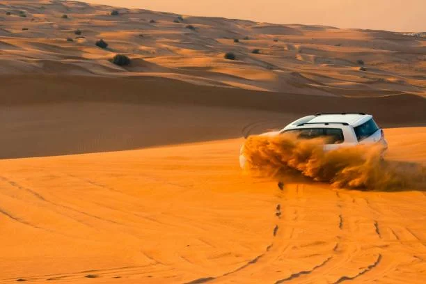 Morning Desert Safari